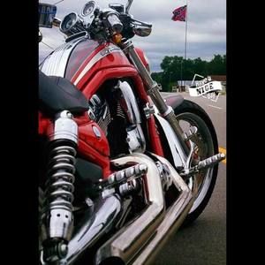 Meet your Posher, Robin